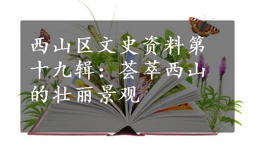 西山区文史资料第十九辑：荟萃西山的壮丽景观