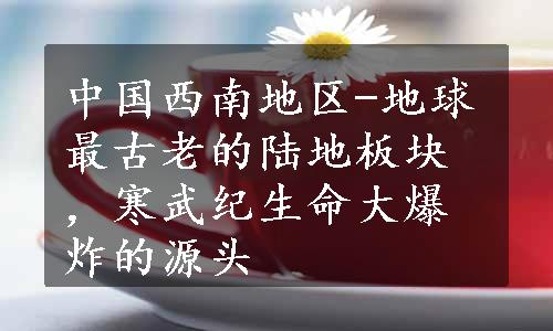 中国西南地区-地球最古老的陆地板块，寒武纪生命大爆炸的源头