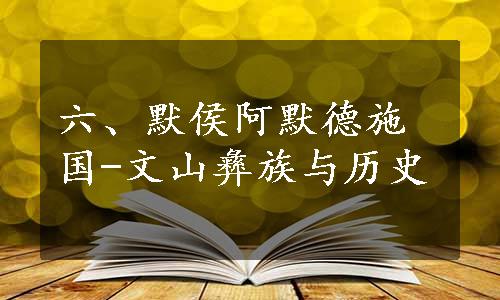 六、默侯阿默德施国-文山彝族与历史