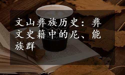 文山彝族历史：彝文史籍中的尼、能族群