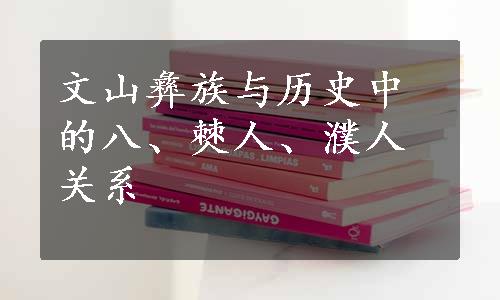 文山彝族与历史中的八、僰人、濮人关系