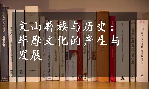 文山彝族与历史：毕摩文化的产生与发展