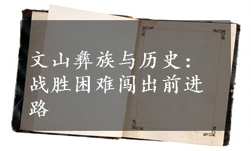 文山彝族与历史：战胜困难闯出前进路