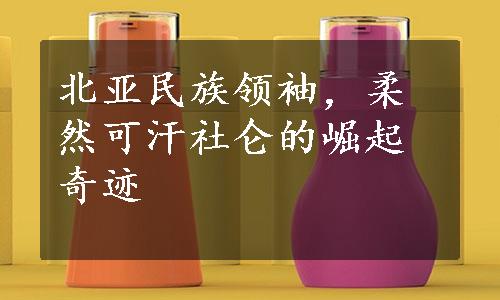 北亚民族领袖，柔然可汗社仑的崛起奇迹