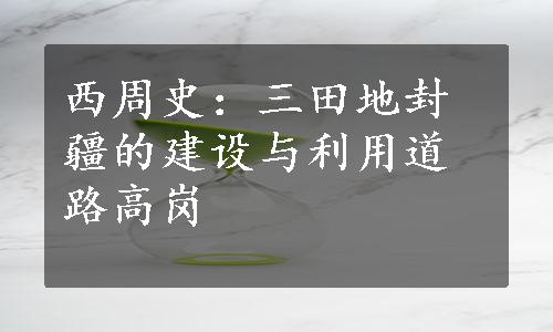 西周史：三田地封疆的建设与利用道路高岗