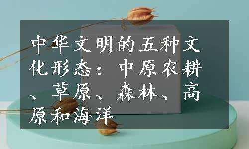 中华文明的五种文化形态：中原农耕、草原、森林、高原和海洋