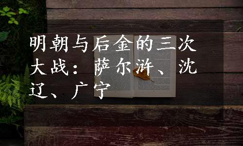 明朝与后金的三次大战：萨尔浒、沈辽、广宁