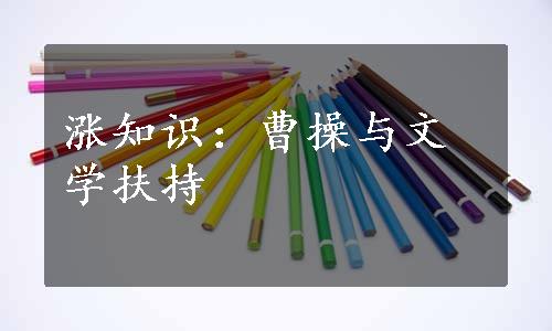 涨知识：曹操与文学扶持