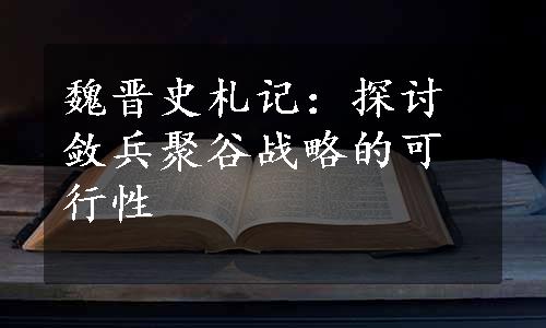 魏晋史札记：探讨敛兵聚谷战略的可行性