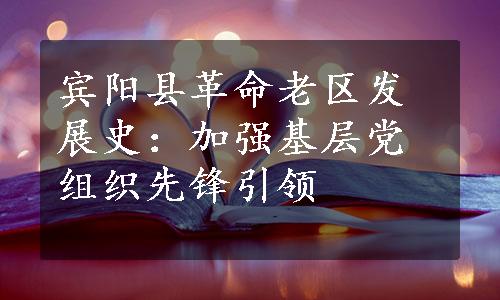 宾阳县革命老区发展史：加强基层党组织先锋引领