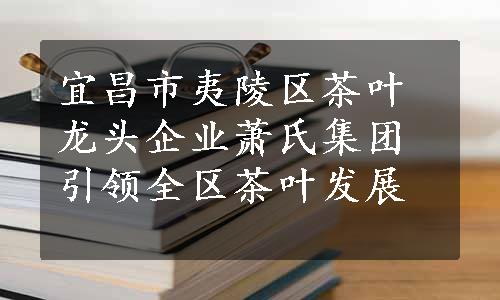 宜昌市夷陵区茶叶龙头企业萧氏集团引领全区茶叶发展