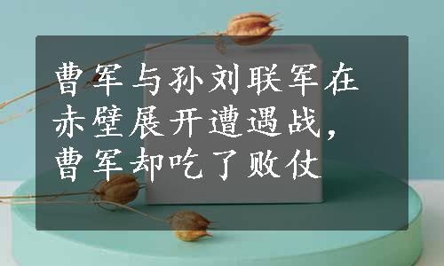 曹军与孙刘联军在赤壁展开遭遇战，曹军却吃了败仗