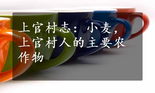 上官村志：小麦，上官村人的主要农作物