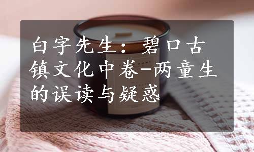 白字先生：碧口古镇文化中卷-两童生的误读与疑惑