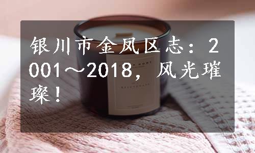 银川市金凤区志：2001～2018，风光璀璨！