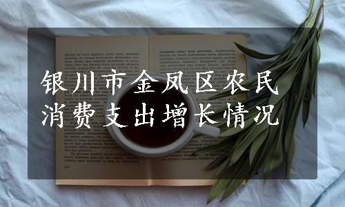 银川市金凤区农民消费支出增长情况
