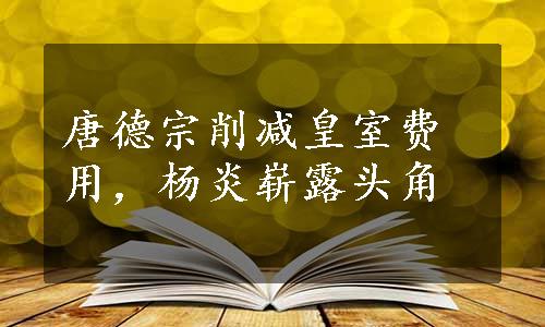 唐德宗削减皇室费用，杨炎崭露头角