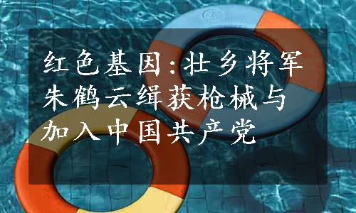 红色基因:壮乡将军朱鹤云缉获枪械与加入中国共产党