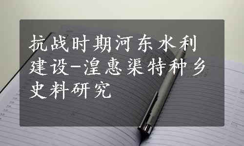 抗战时期河东水利建设-湟惠渠特种乡史料研究