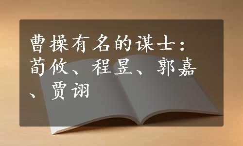 曹操有名的谋士：荀攸、程昱、郭嘉、贾诩