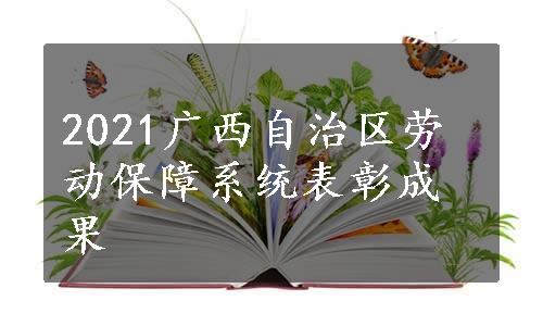 2021广西自治区劳动保障系统表彰成果