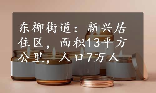 东柳街道：新兴居住区，面积13平方公里，人口7万人