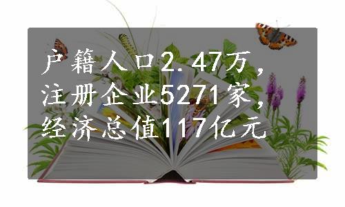 户籍人口2.47万，注册企业5271家，经济总值117亿元