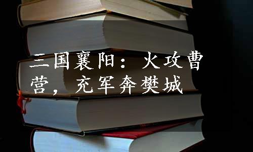 三国襄阳：火攻曹营，充军奔樊城