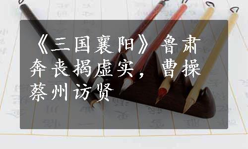 《三国襄阳》鲁肃奔丧揭虚实，曹操蔡州访贤