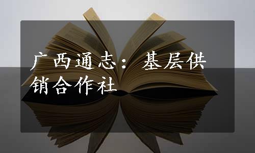 广西通志：基层供销合作社