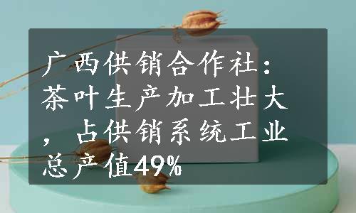 广西供销合作社：茶叶生产加工壮大，占供销系统工业总产值49%