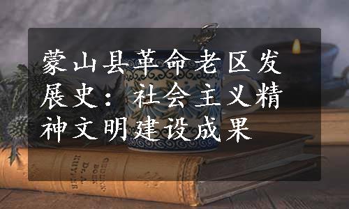 蒙山县革命老区发展史：社会主义精神文明建设成果