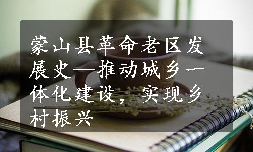 蒙山县革命老区发展史—推动城乡一体化建设，实现乡村振兴