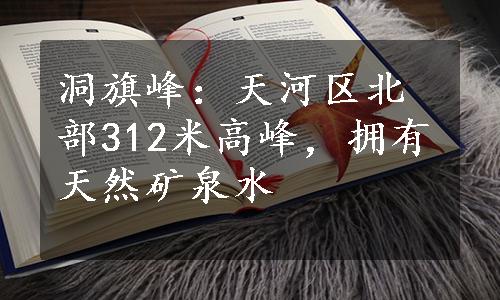 洞旗峰：天河区北部312米高峰，拥有天然矿泉水