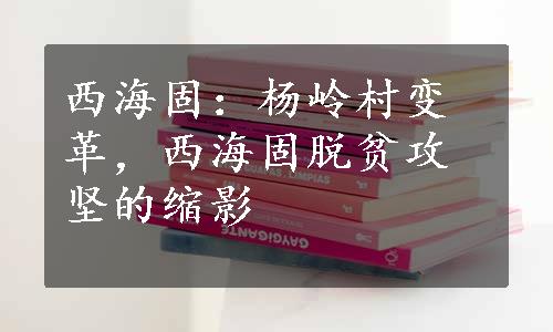 西海固：杨岭村变革，西海固脱贫攻坚的缩影