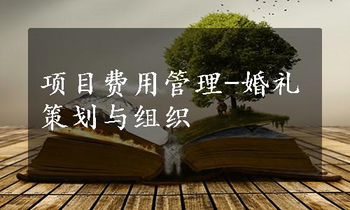 项目费用管理-婚礼策划与组织