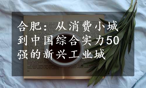 合肥：从消费小城到中国综合实力50强的新兴工业城