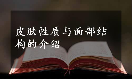 皮肤性质与面部结构的介绍