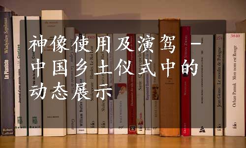 神像使用及演驾 - 中国乡土仪式中的动态展示