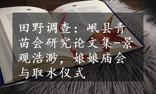 田野调查：岷县青苗会研究论文集-景观浩渺，娘娘庙会与取水仪式