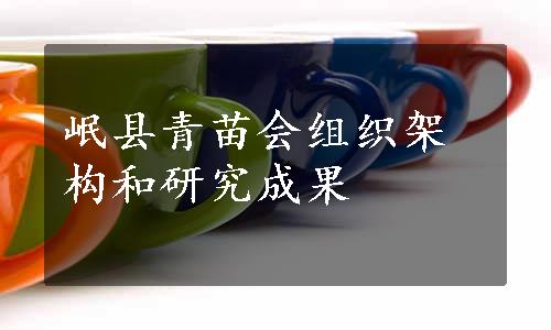 岷县青苗会组织架构和研究成果