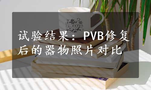 试验结果：PVB修复后的器物照片对比