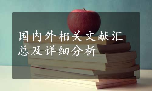 国内外相关文献汇总及详细分析