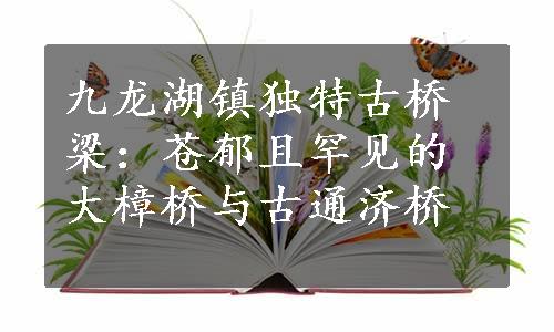 九龙湖镇独特古桥梁：苍郁且罕见的大樟桥与古通济桥