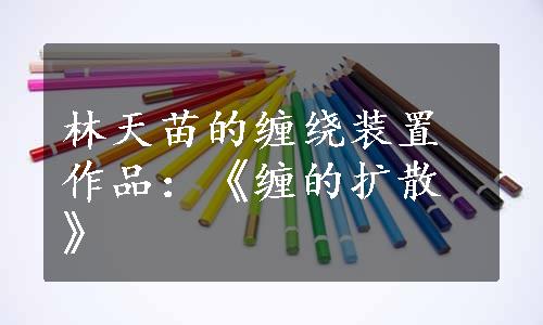 林天苗的缠绕装置作品：《缠的扩散》