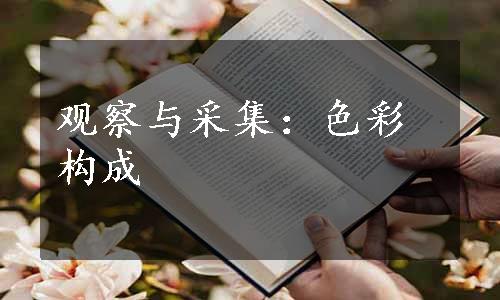 观察与采集：色彩构成