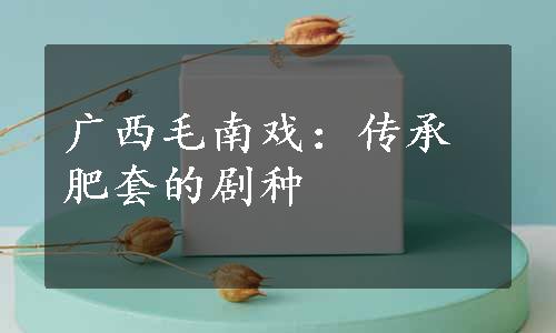 广西毛南戏：传承肥套的剧种