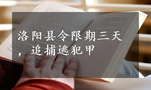 洛阳县令限期三天，追捕逃犯甲