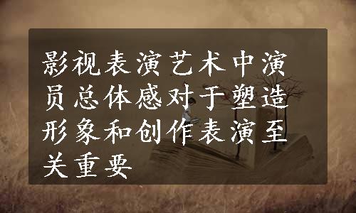 影视表演艺术中演员总体感对于塑造形象和创作表演至关重要