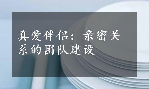 真爱伴侣：亲密关系的团队建设